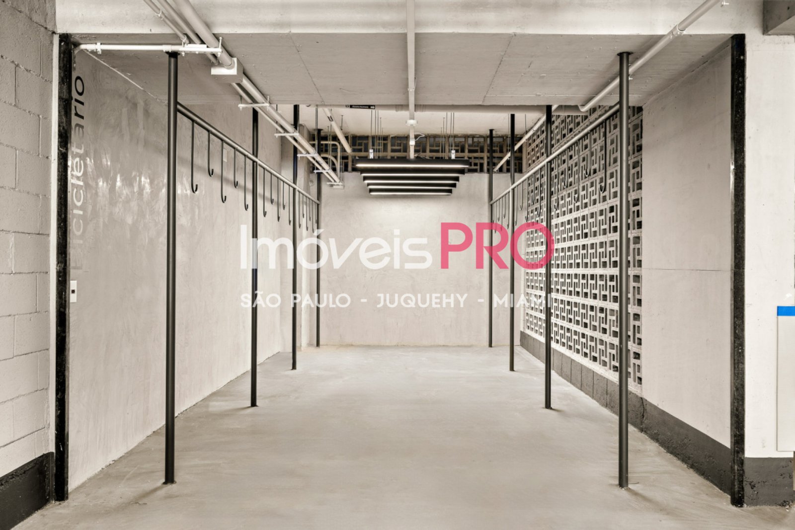 Foto :: IP40343