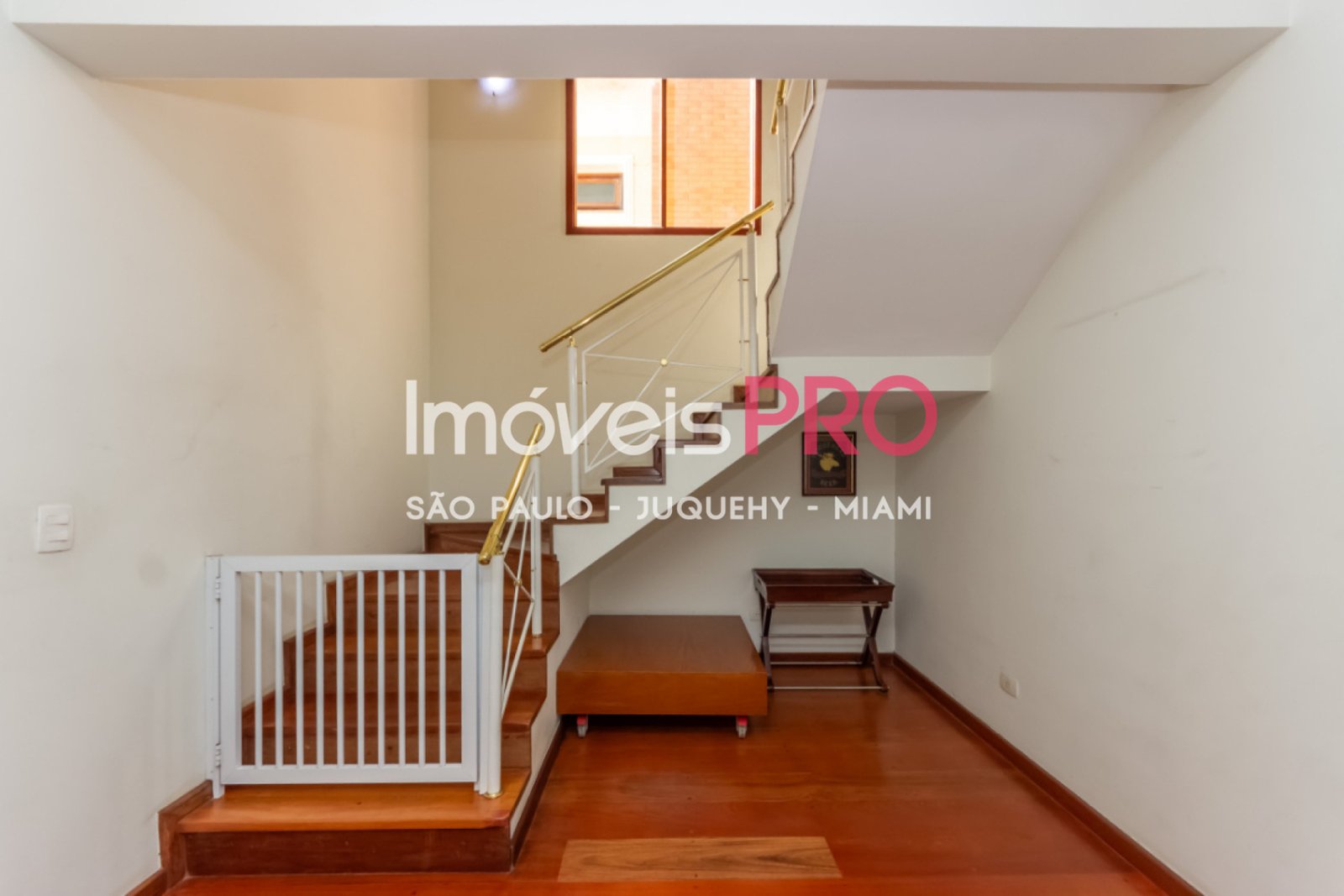 Foto :: IP40355