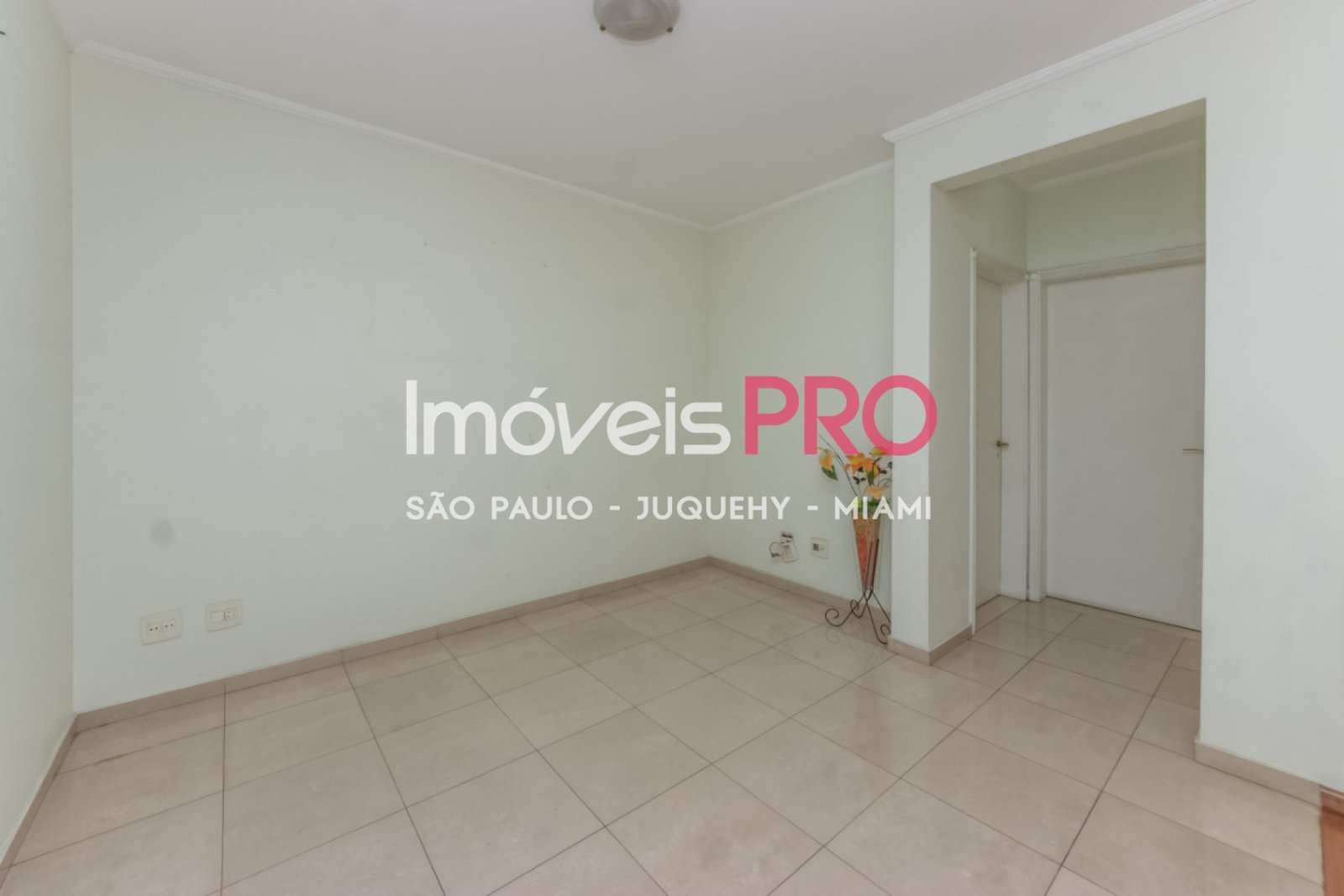 Foto :: IP40355