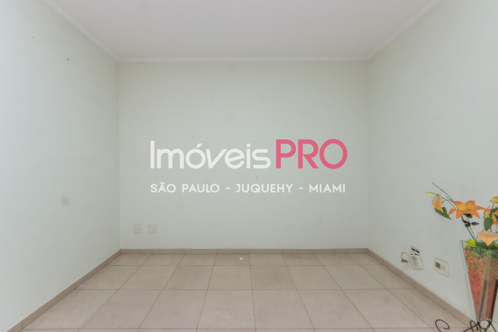 Foto :: IP40355