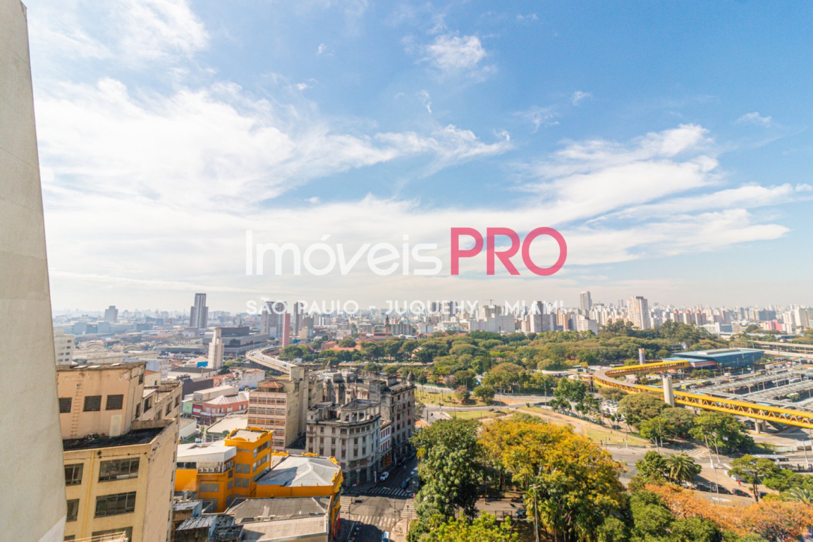Foto :: IP40363