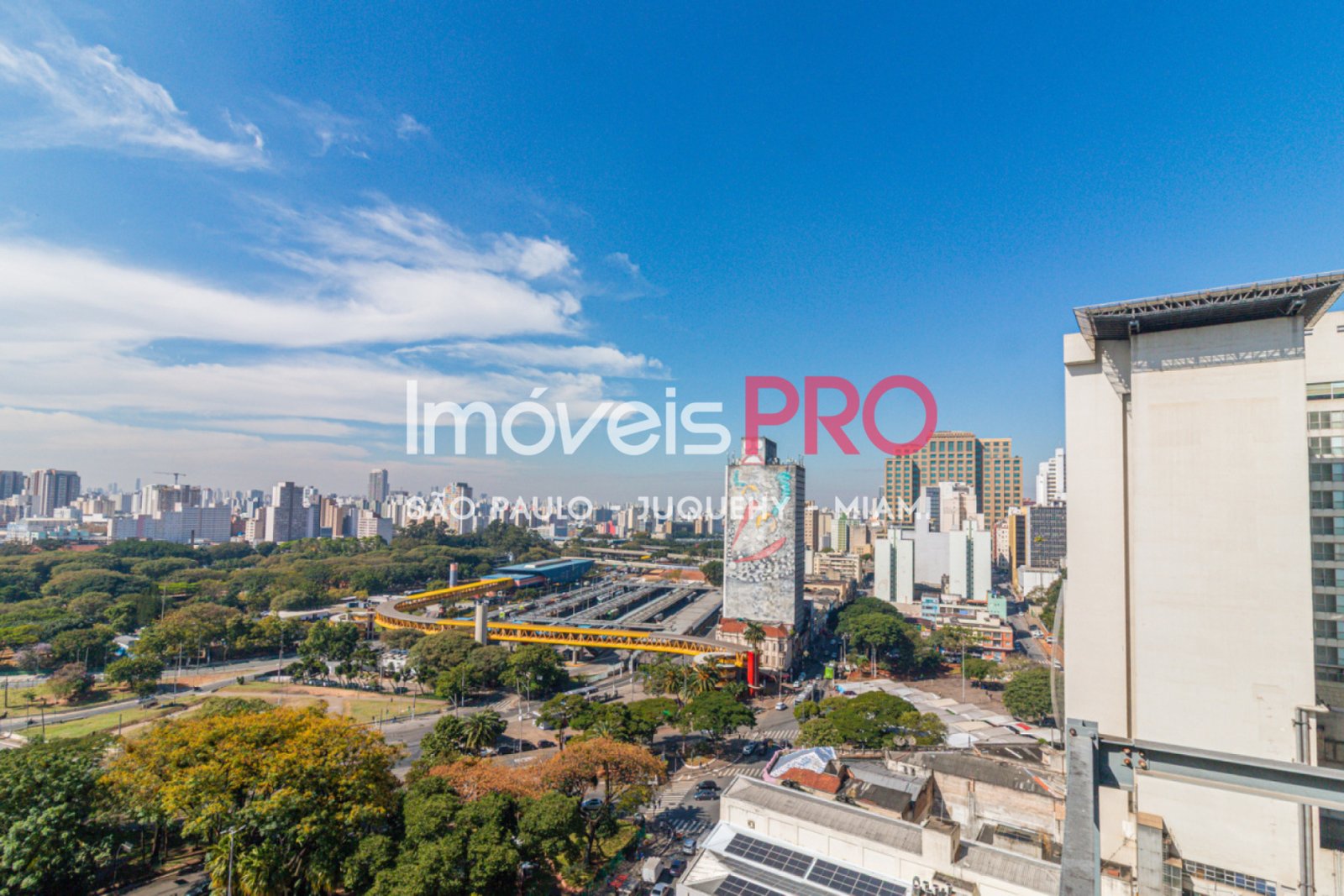 Foto :: IP40363