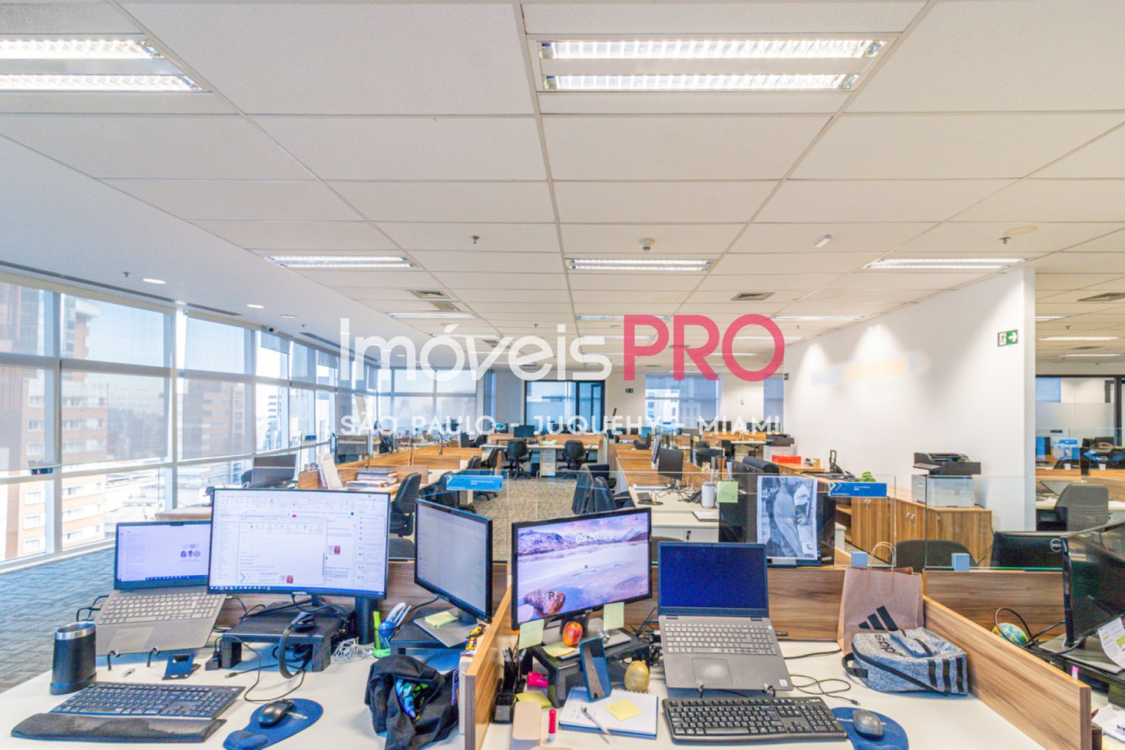 Foto :: IP40365