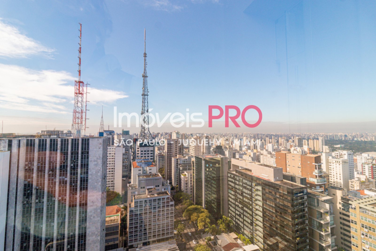 Foto :: IP40365