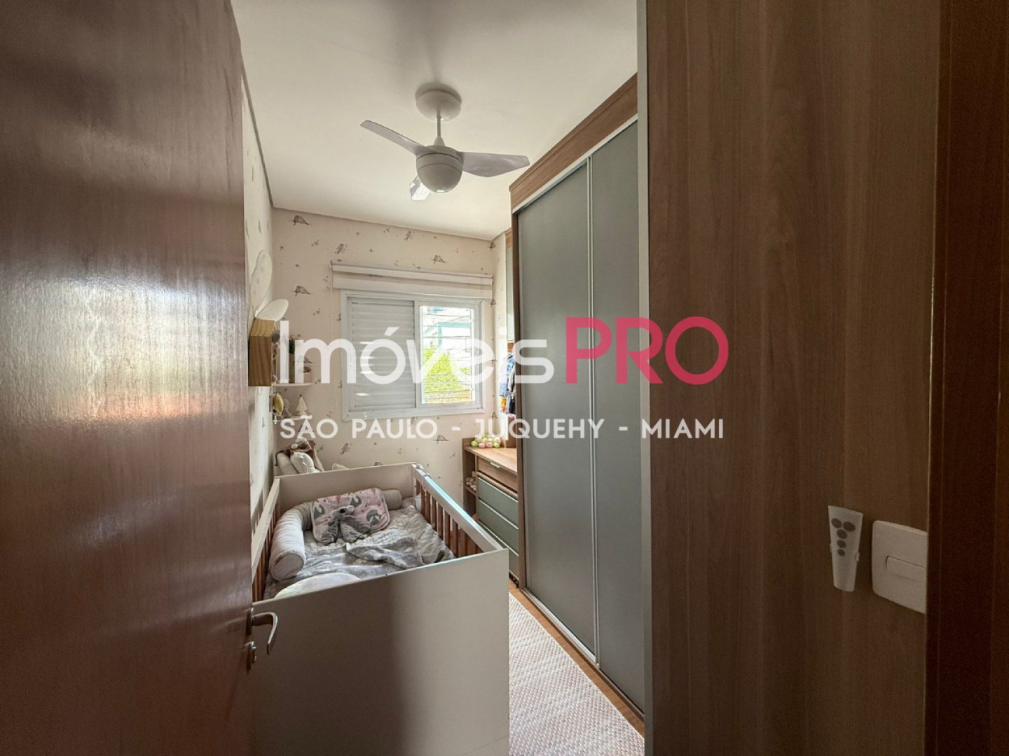 Foto :: IP40377