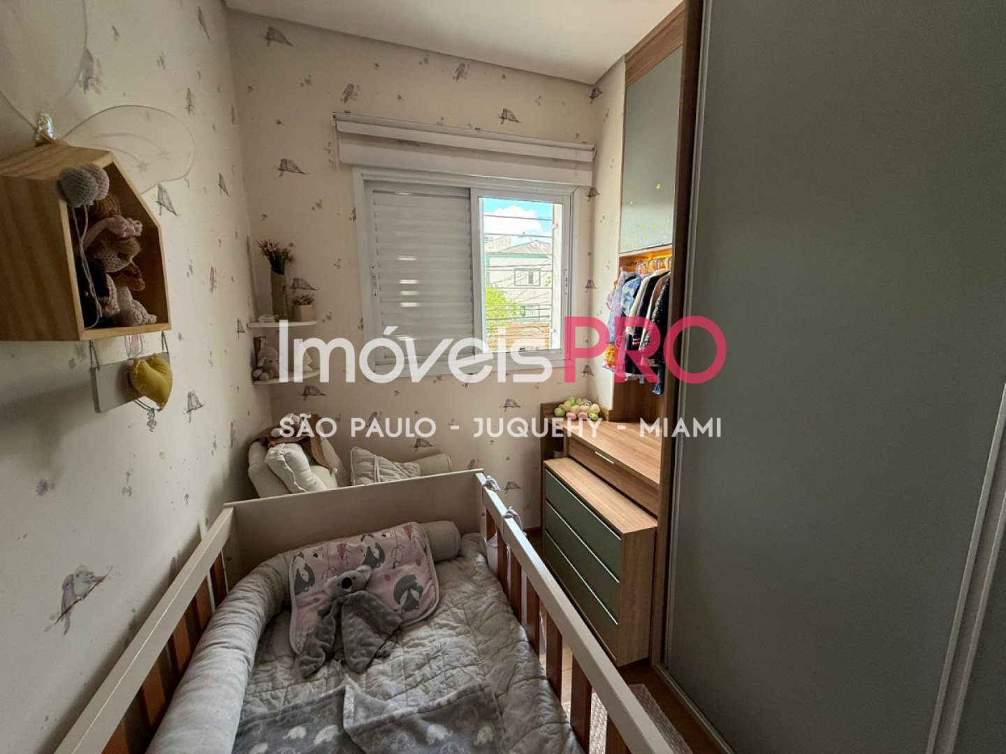 Foto :: IP40377