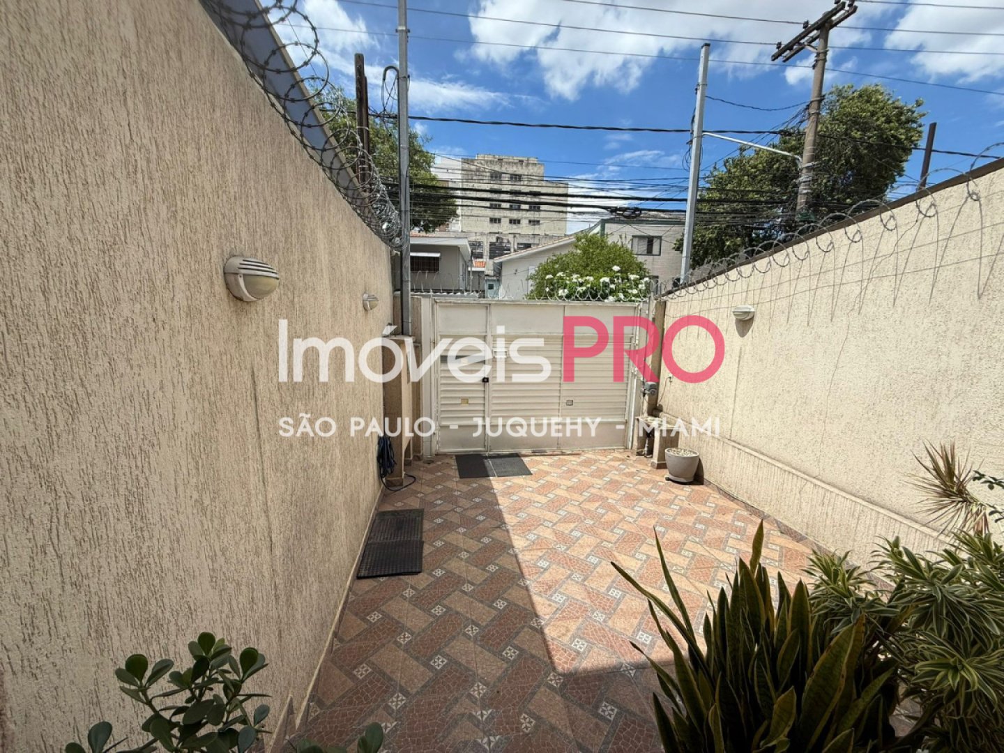 Foto :: IP40377