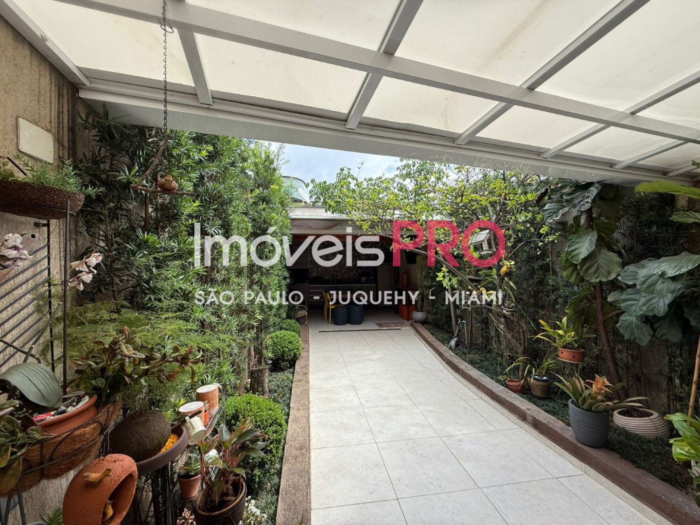 Foto :: IP40377