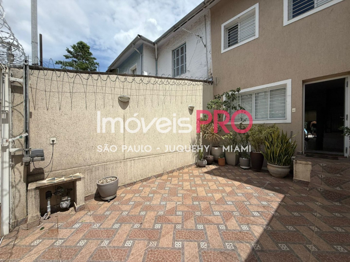 Foto :: IP40377