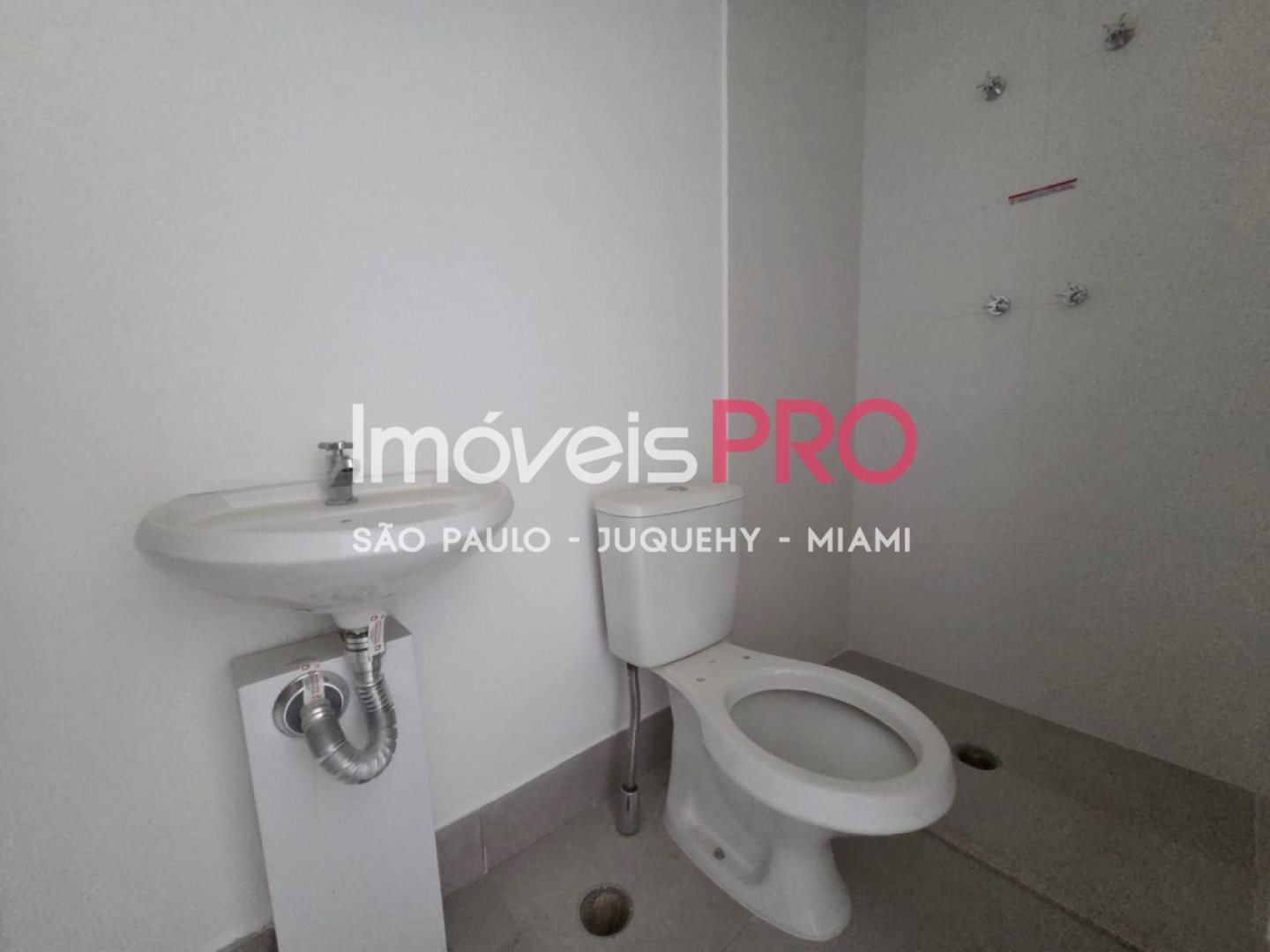 Foto :: IP40380