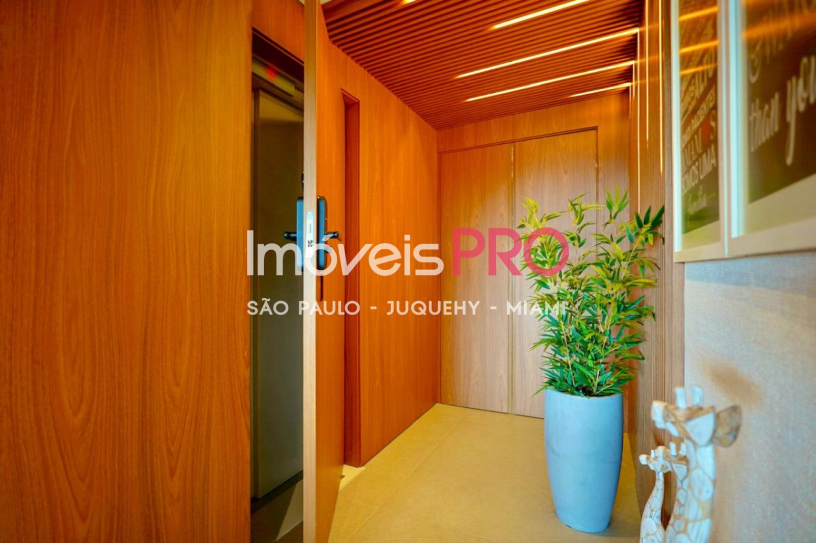 Foto :: IP40387
