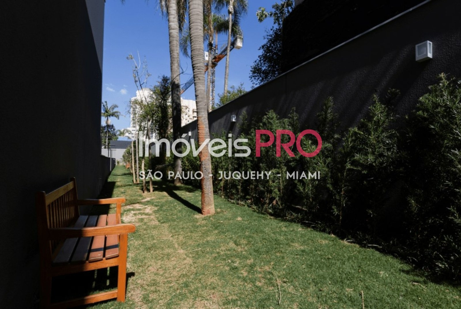 Foto :: IP40387