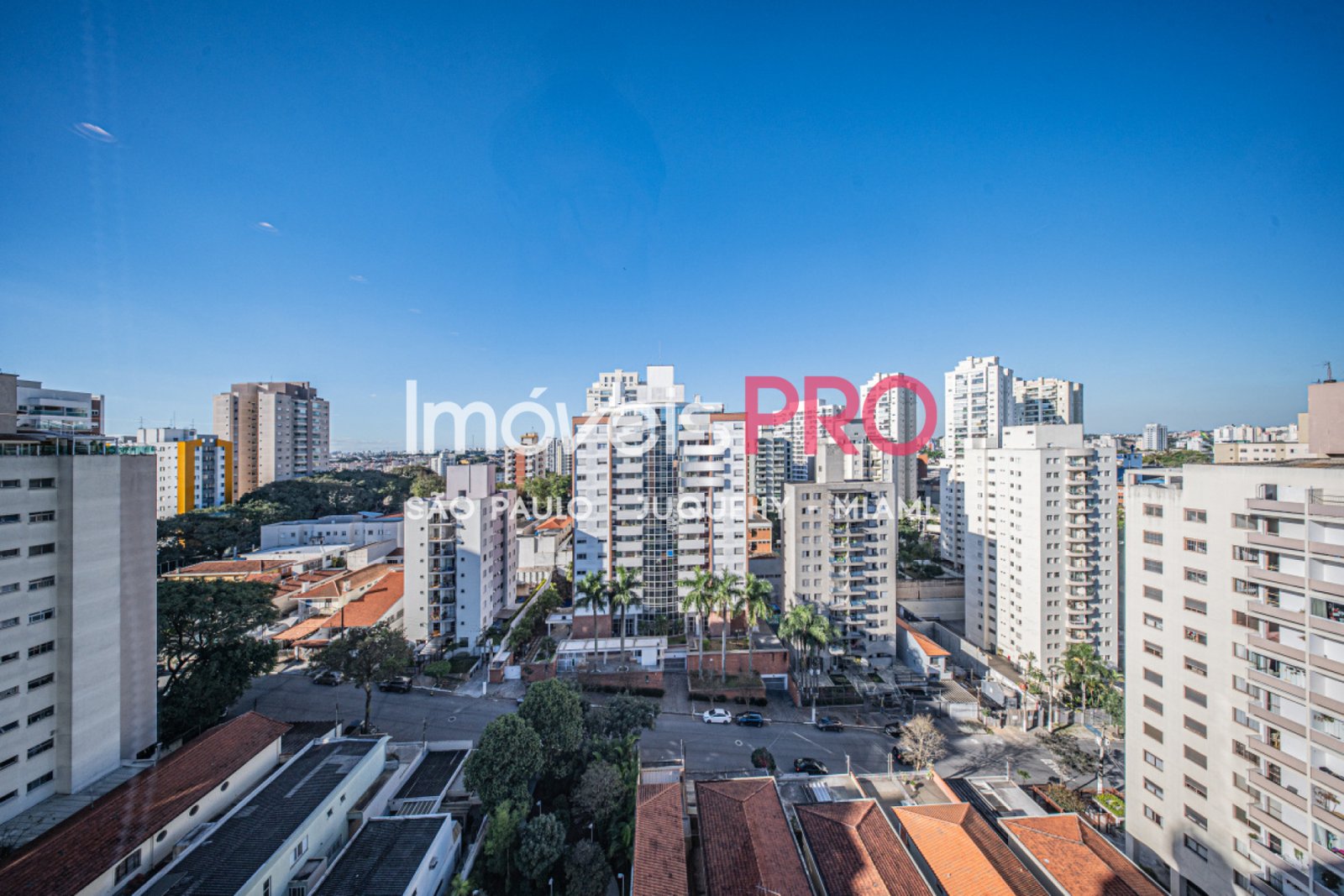 Foto :: IP40398