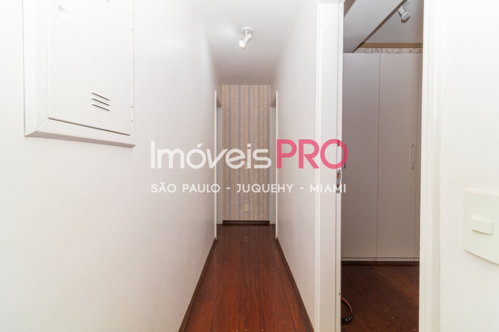 Foto :: IP40399