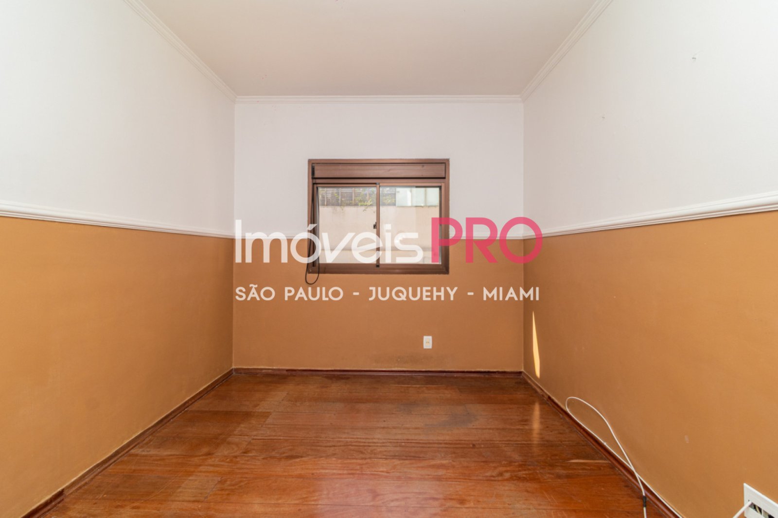 Foto :: IP40399
