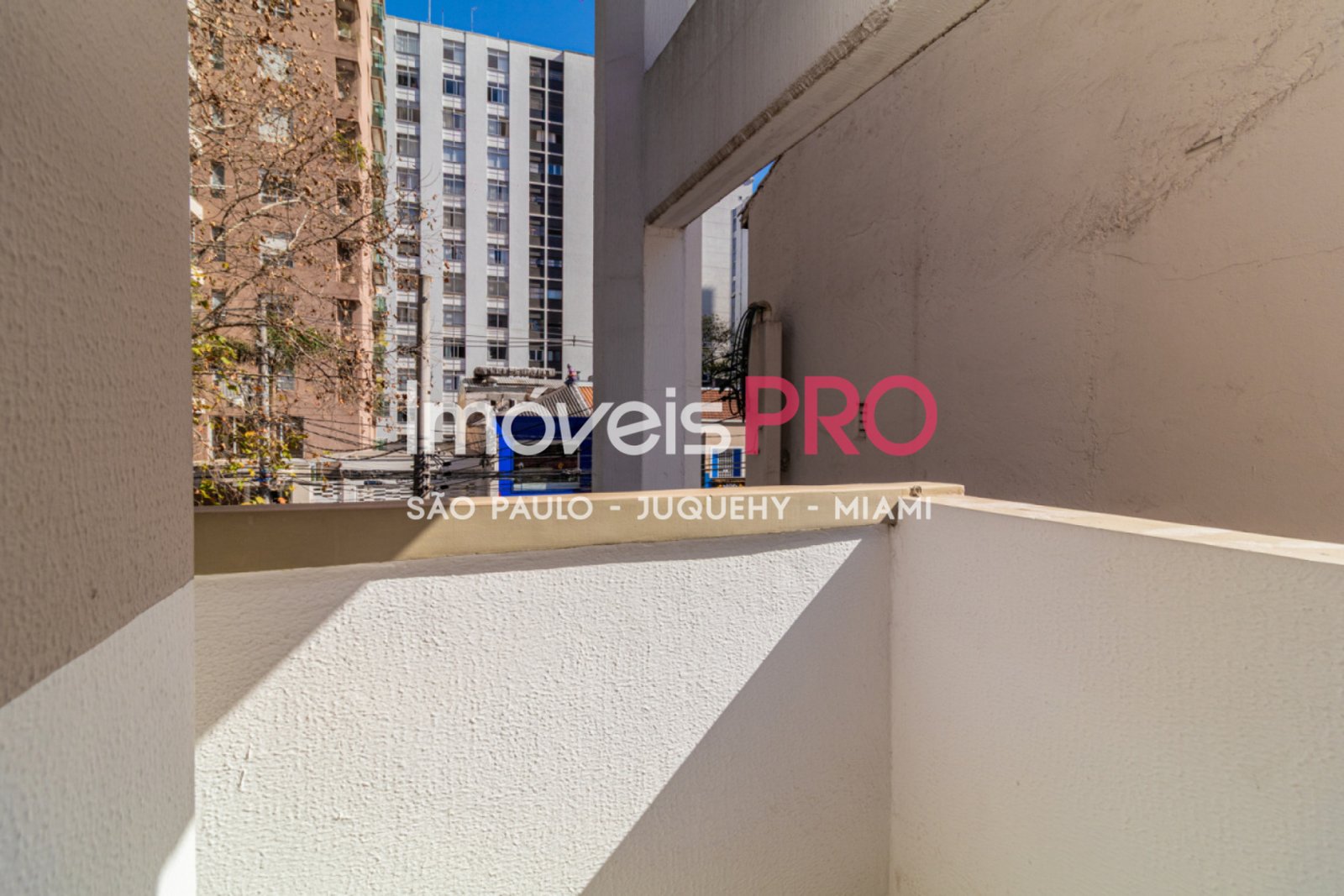 Foto :: IP40399