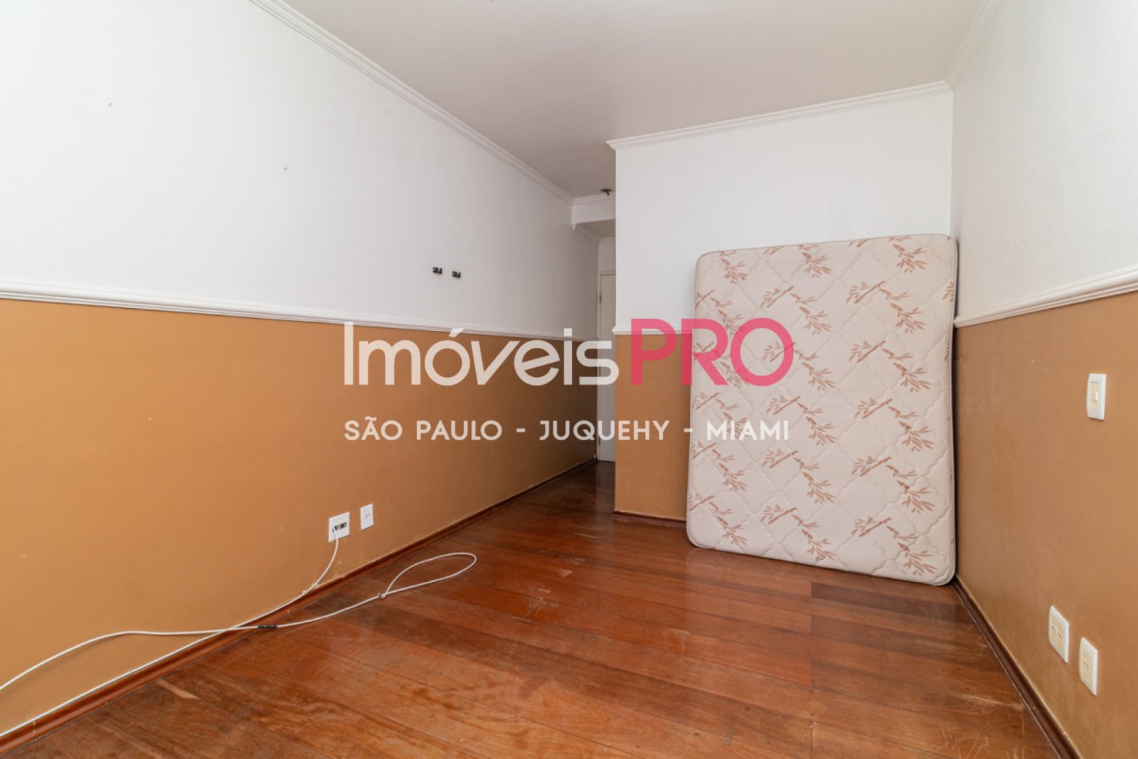 Foto :: IP40399
