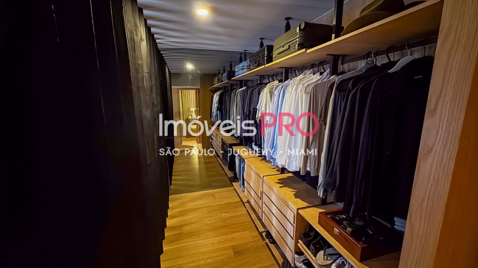 Foto :: IP40409