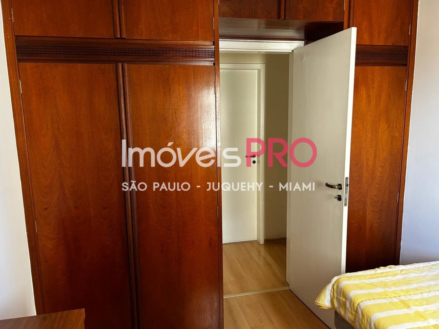 Foto :: IP40411