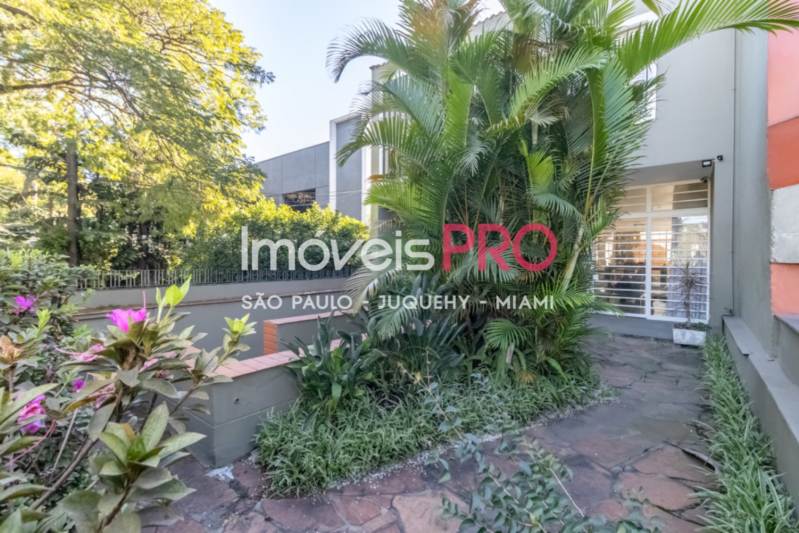 Foto :: IP40422