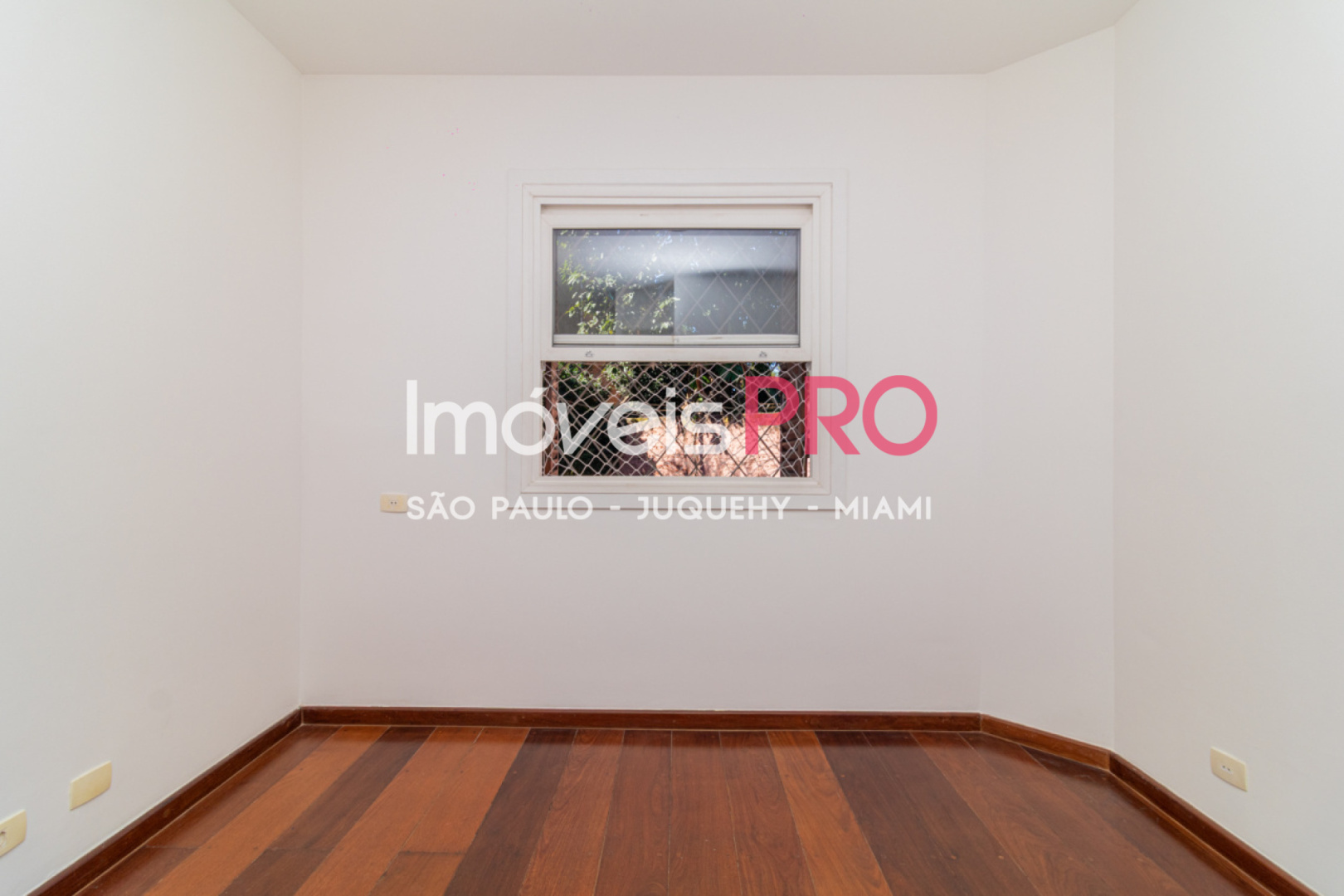 Foto :: IP40423