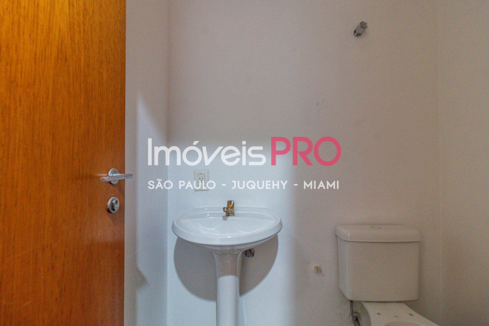 Foto :: IP40430