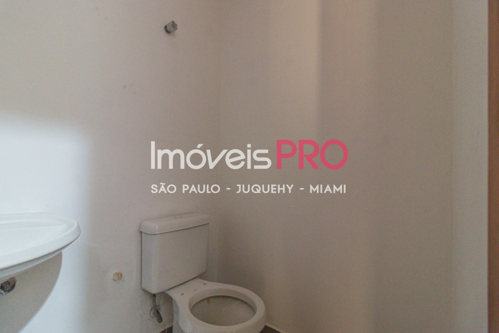 Foto :: IP40430