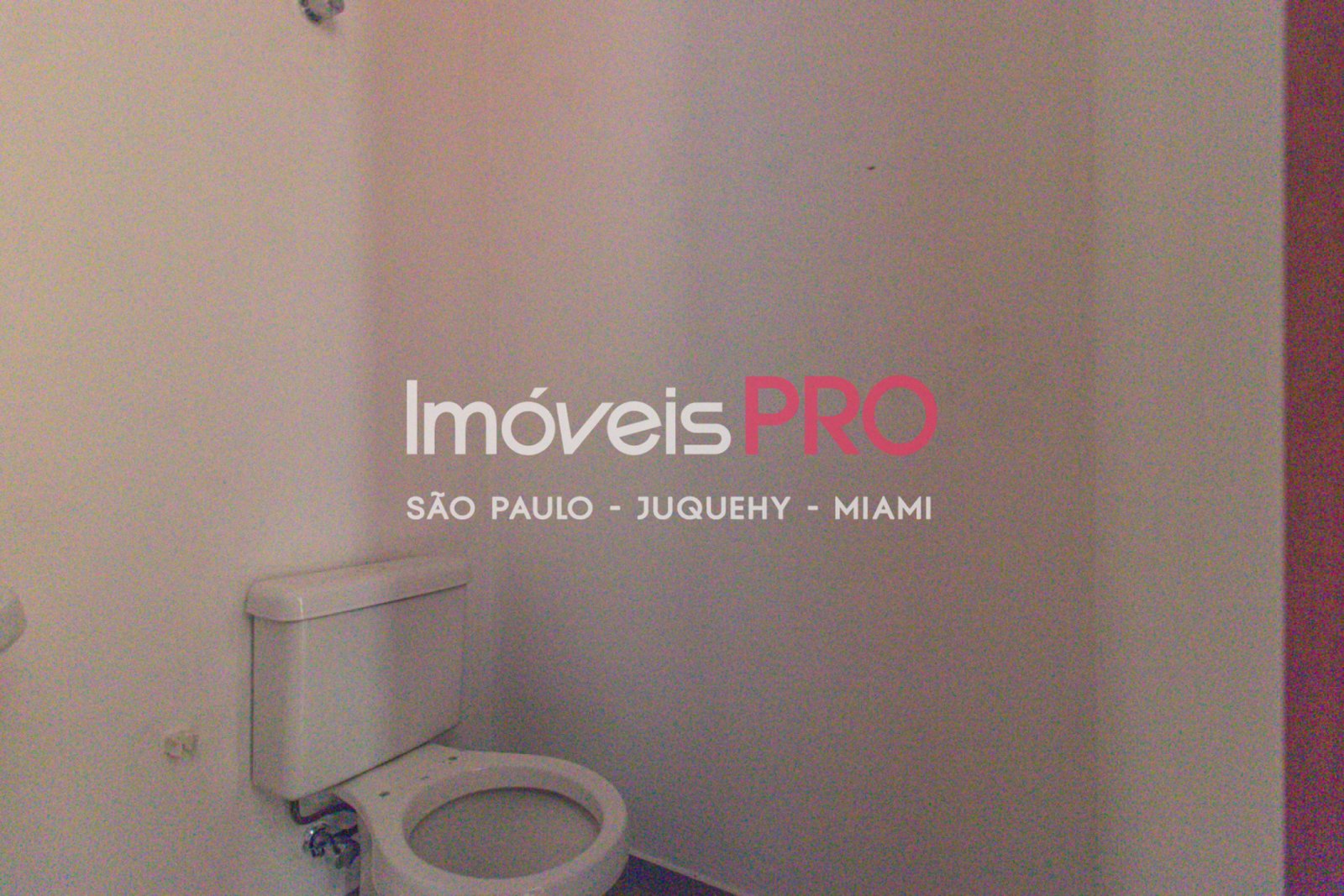 Foto :: IP40430