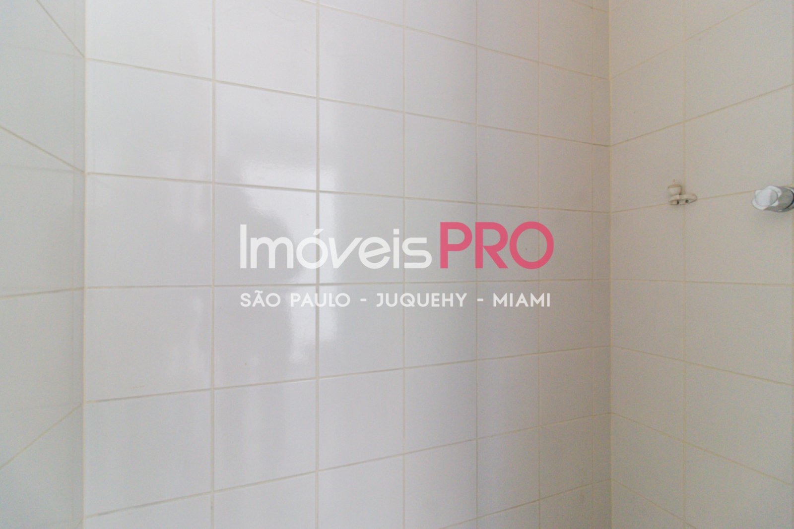 Foto :: IP40430
