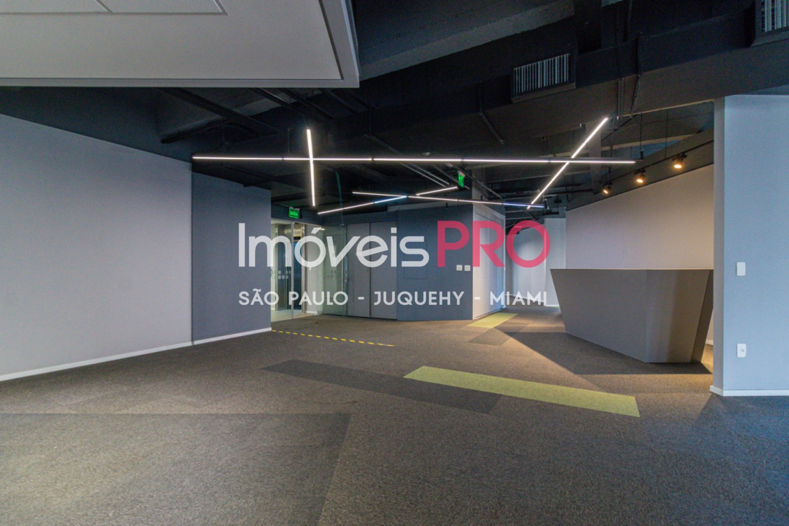 Foto :: IP40431