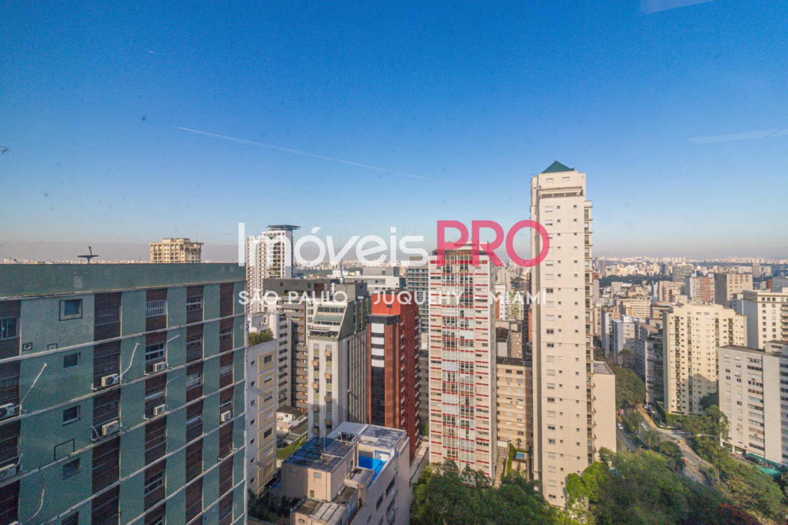 Foto :: IP40431