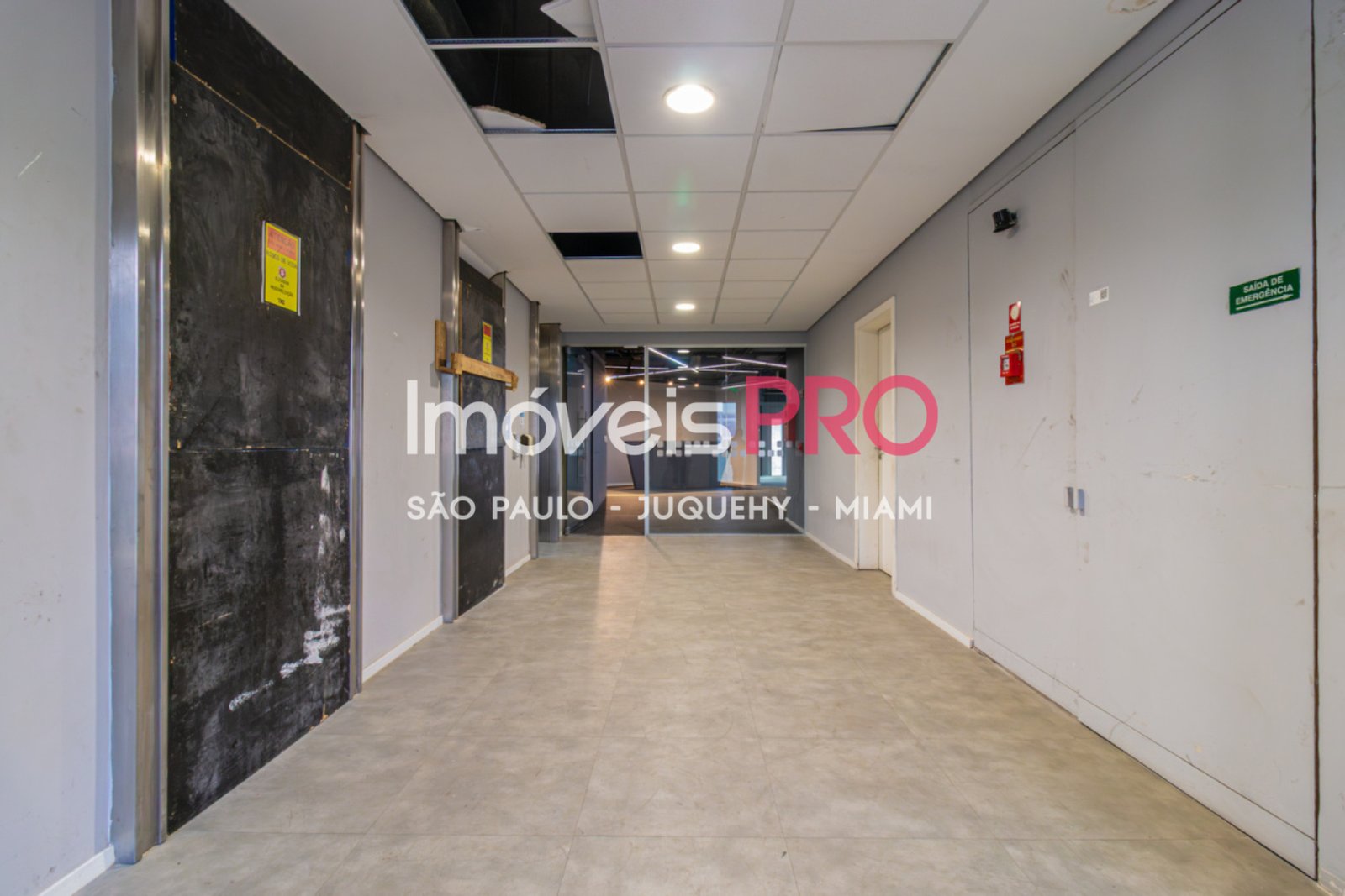 Foto :: IP40431