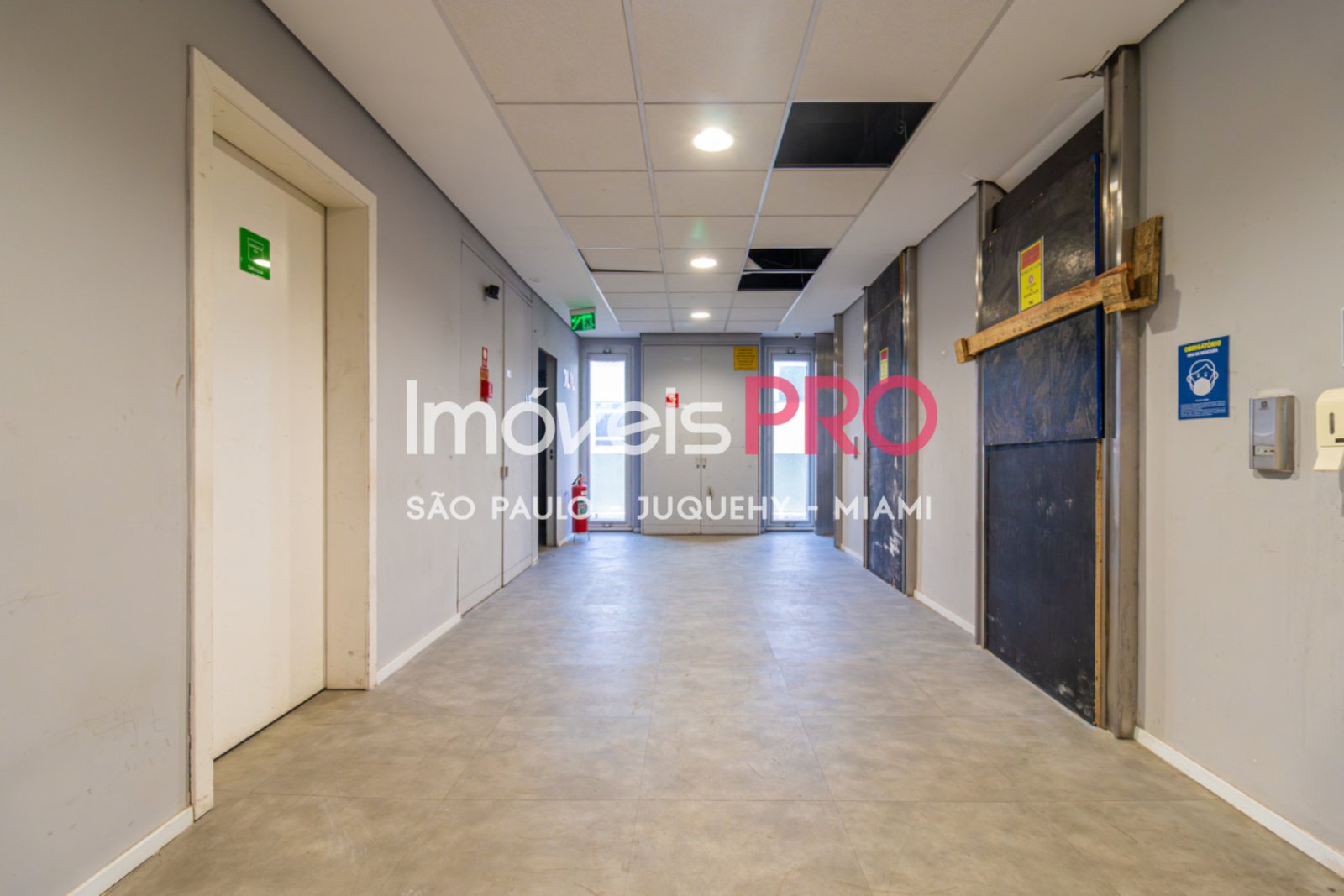 Foto :: IP40431