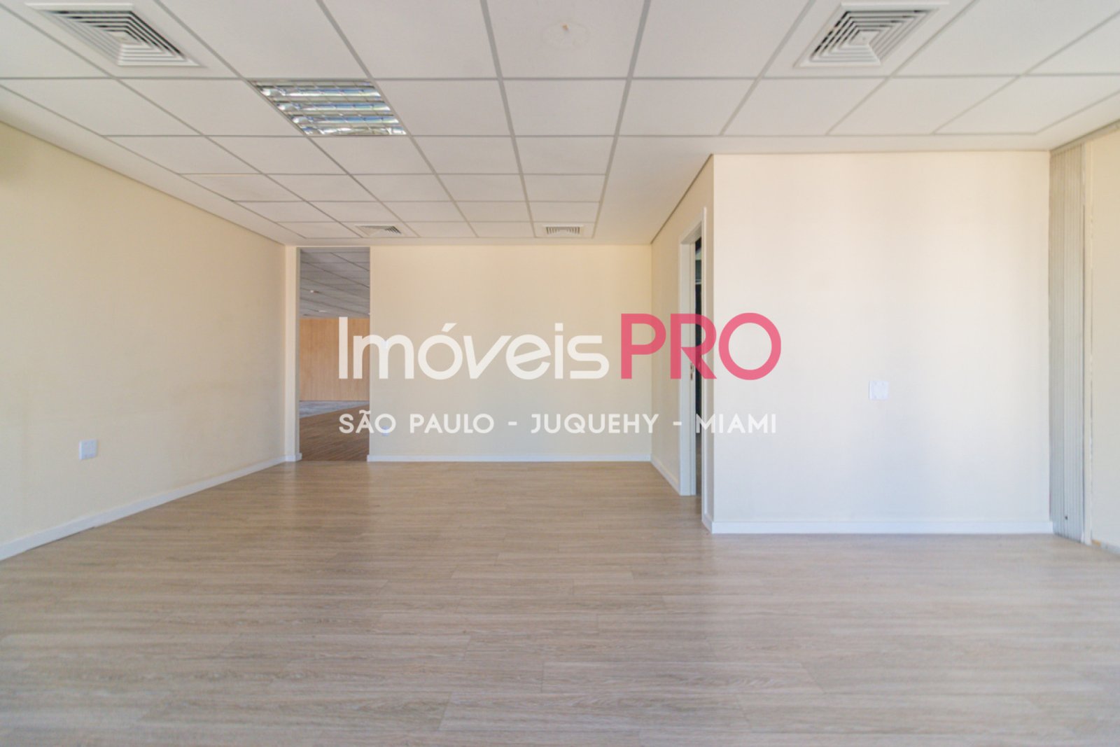 Foto :: IP40433
