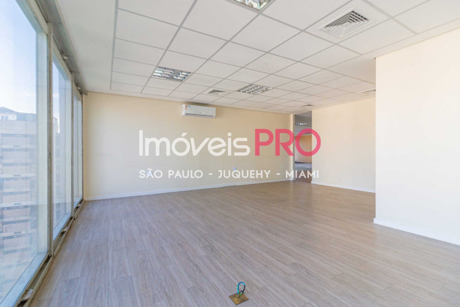Foto :: IP40433