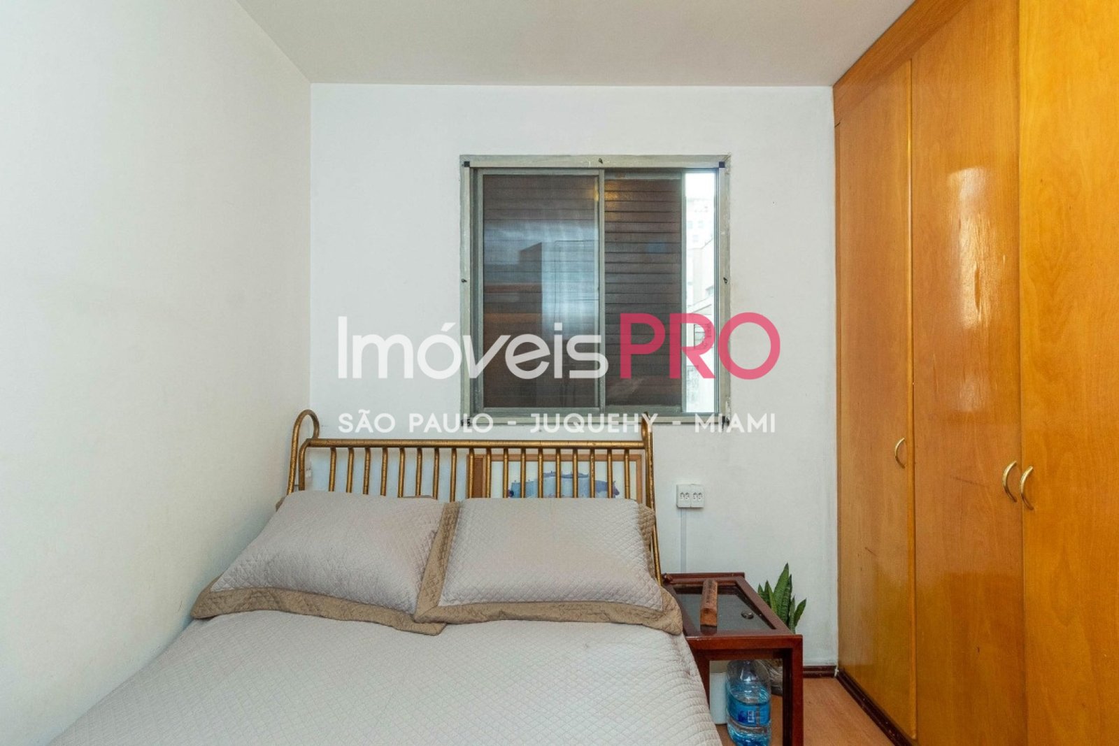 Foto :: IP40435