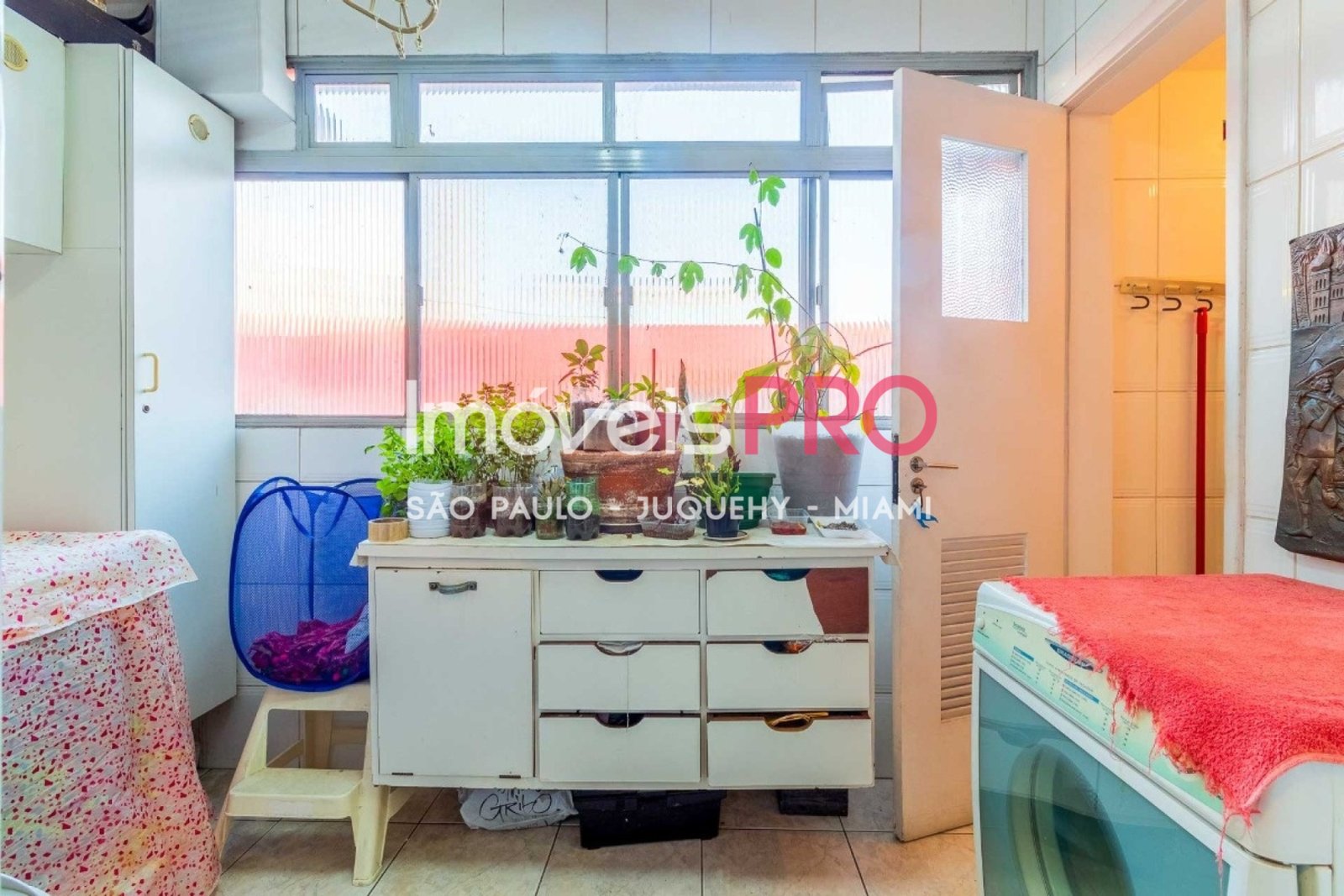 Foto :: IP40435