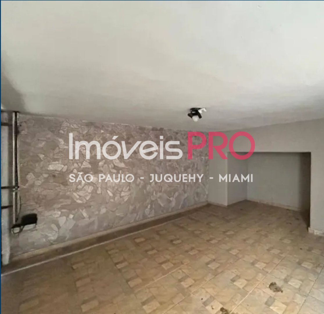 Foto :: IP40454