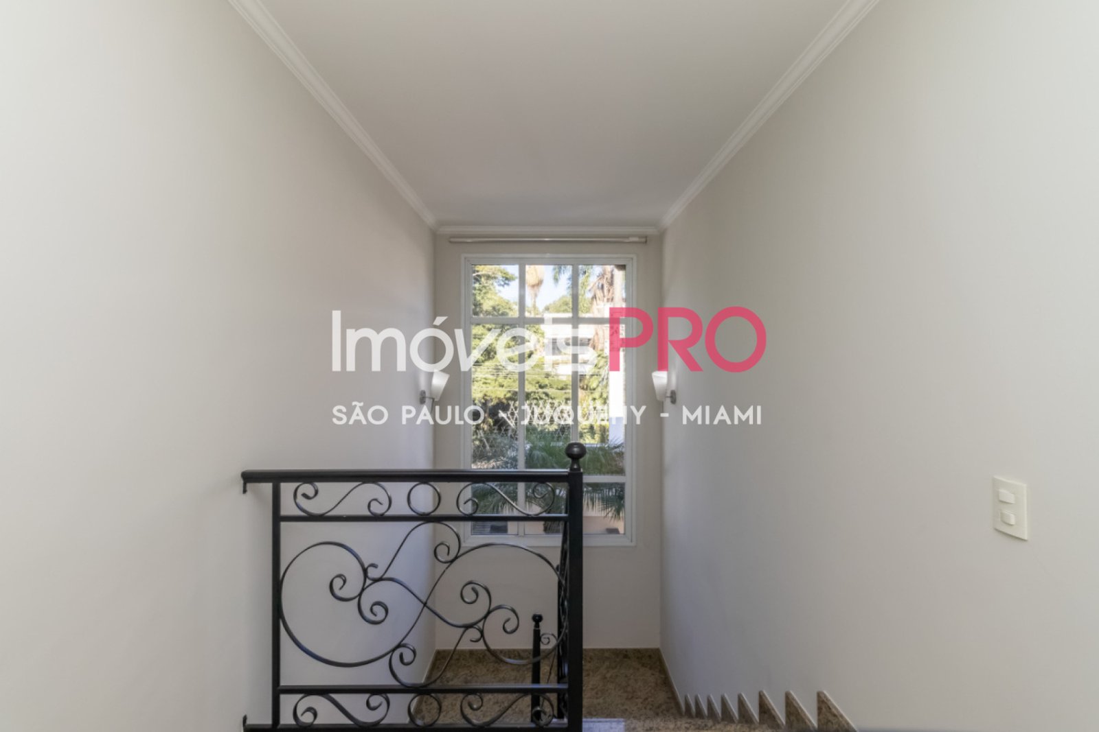 Foto :: IP40465