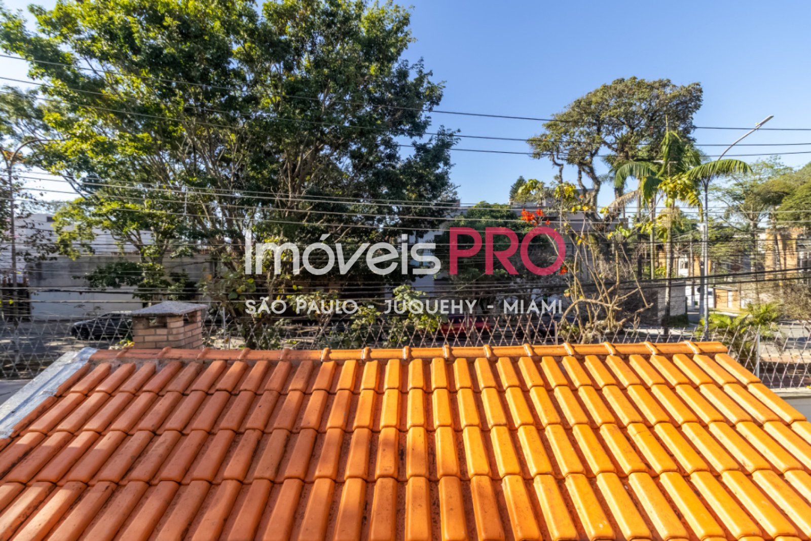 Foto :: IP40465