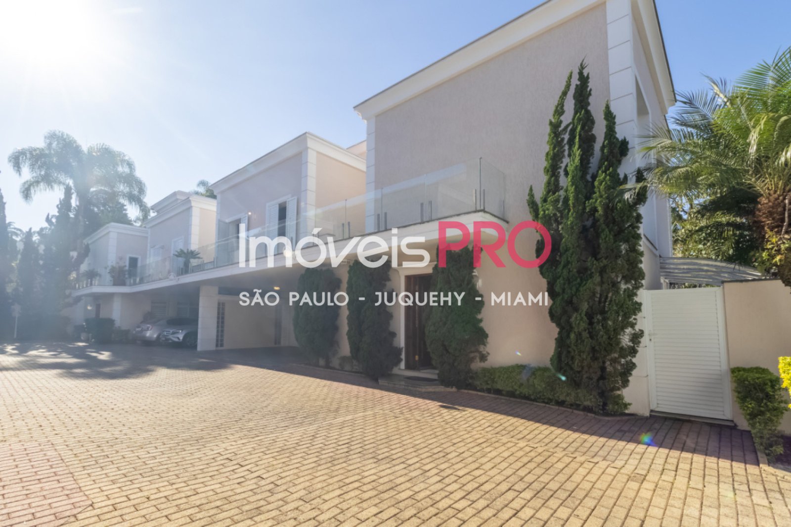 Foto :: IP40465