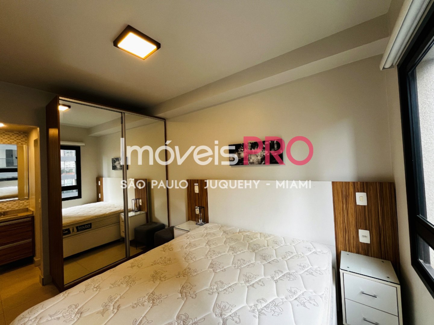 Foto :: IP40471