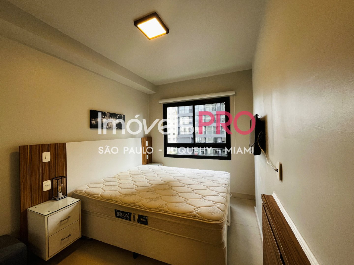 Foto :: IP40471