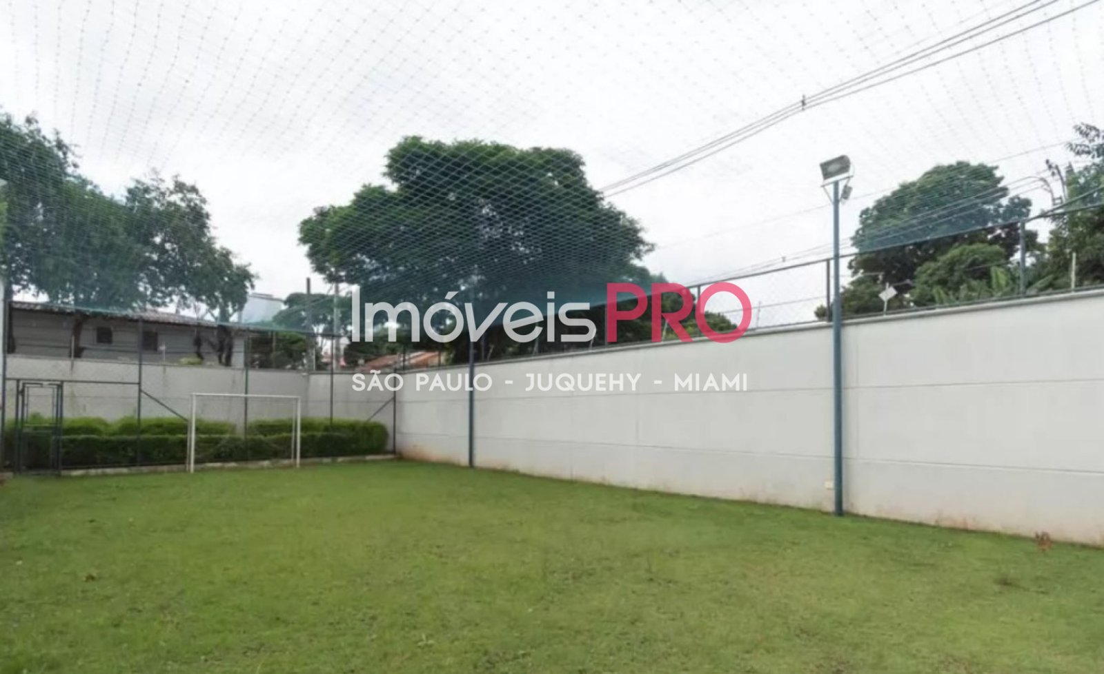Foto :: IP40474