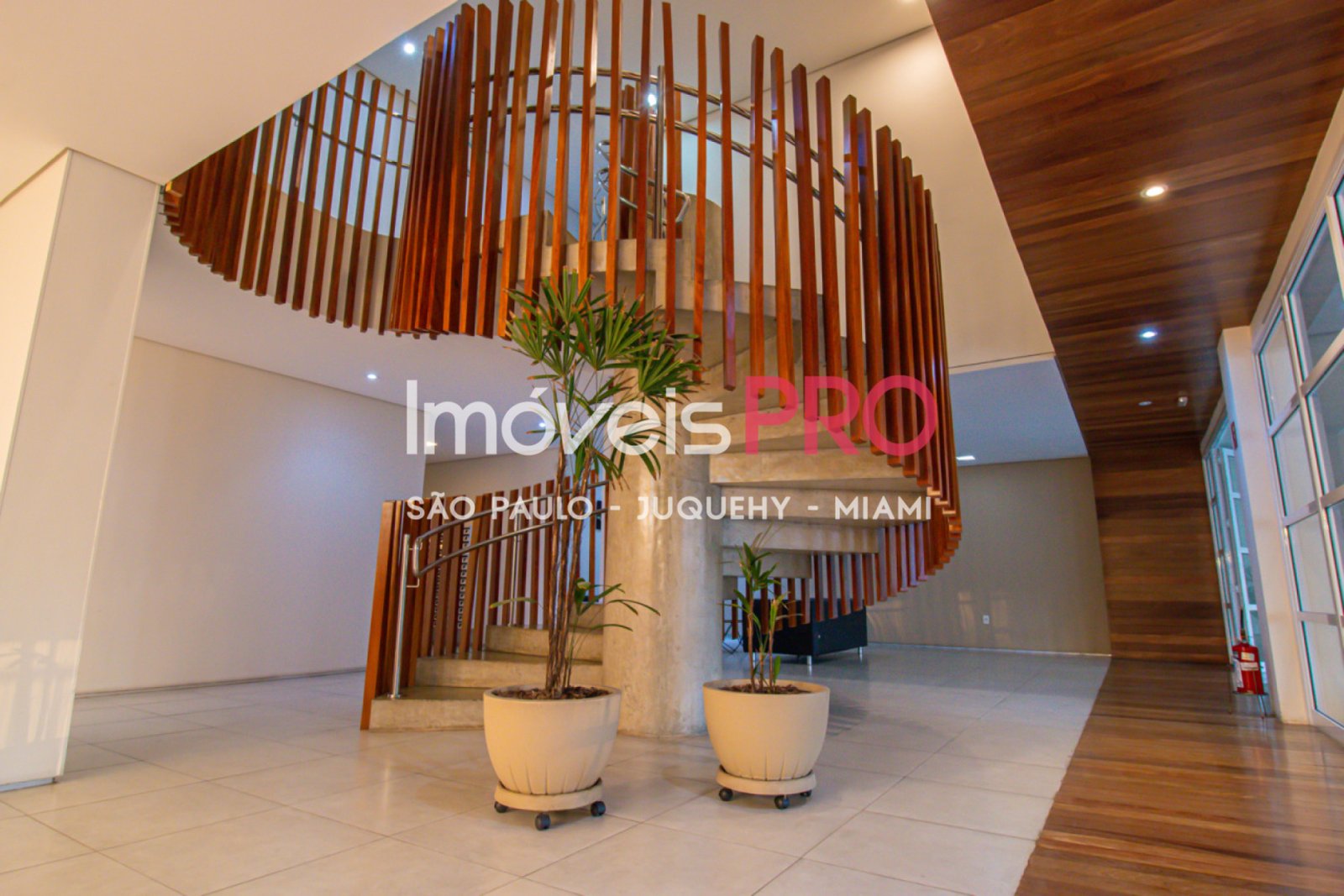Foto :: IP40474