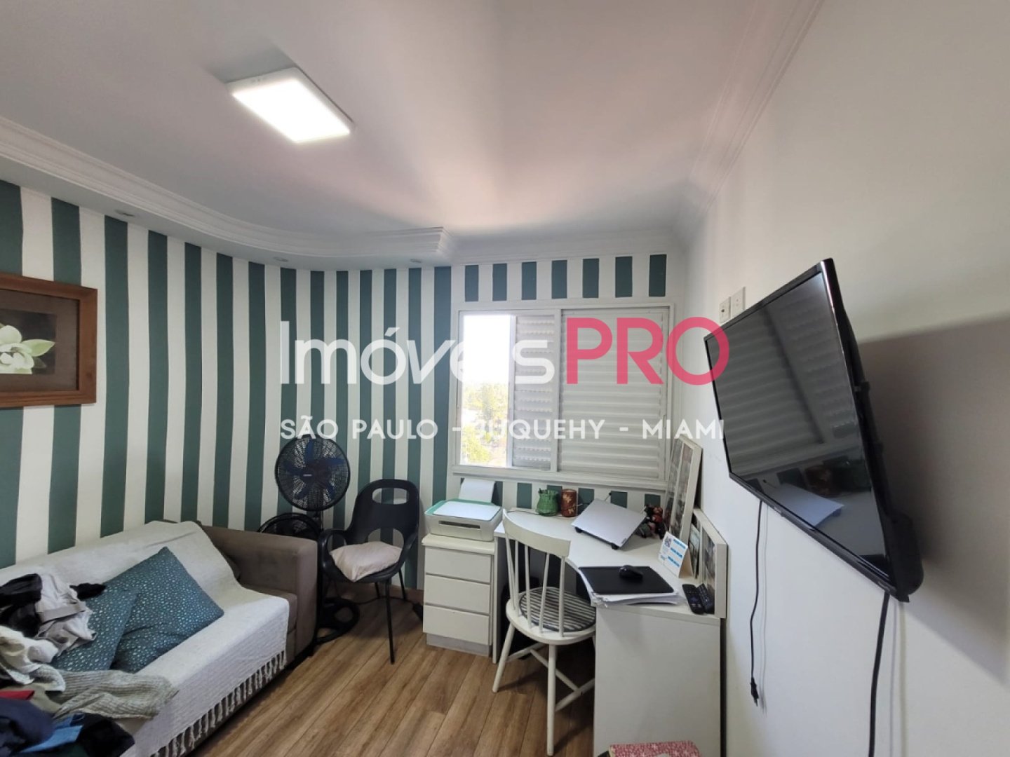 Foto :: IP40481