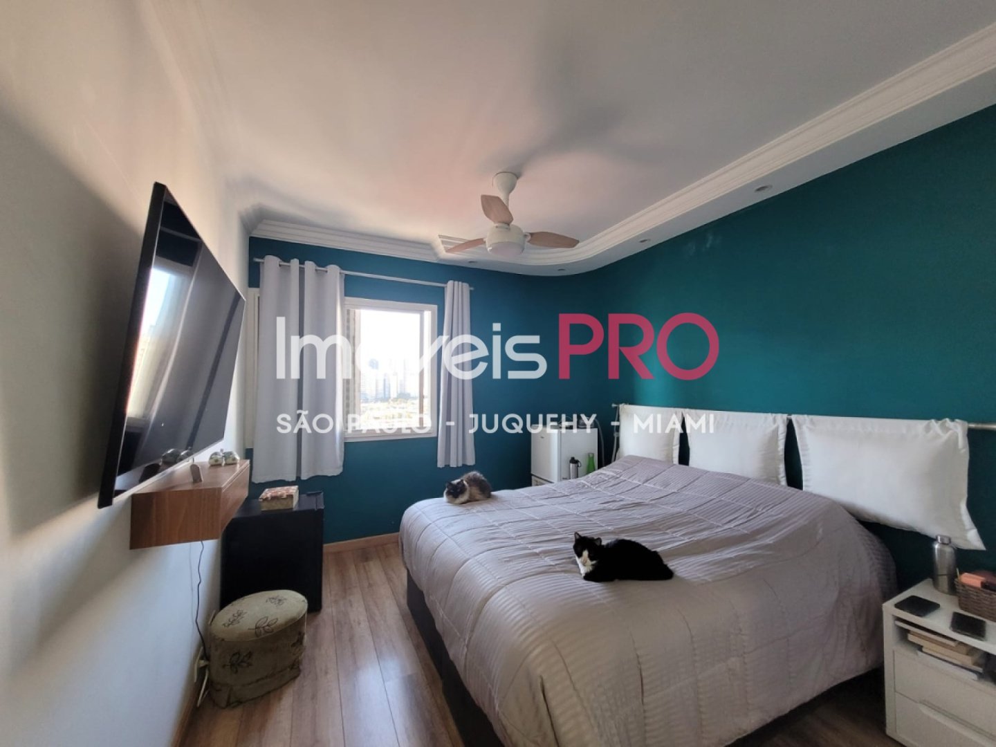 Foto :: IP40481
