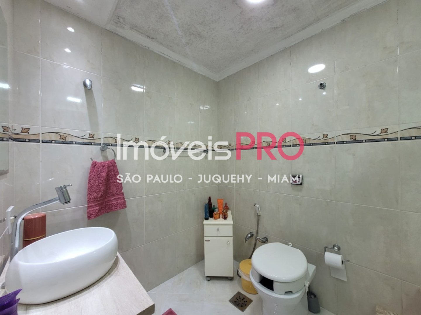 Foto :: IP40481