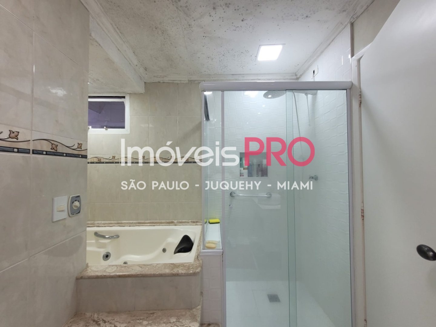 Foto :: IP40481