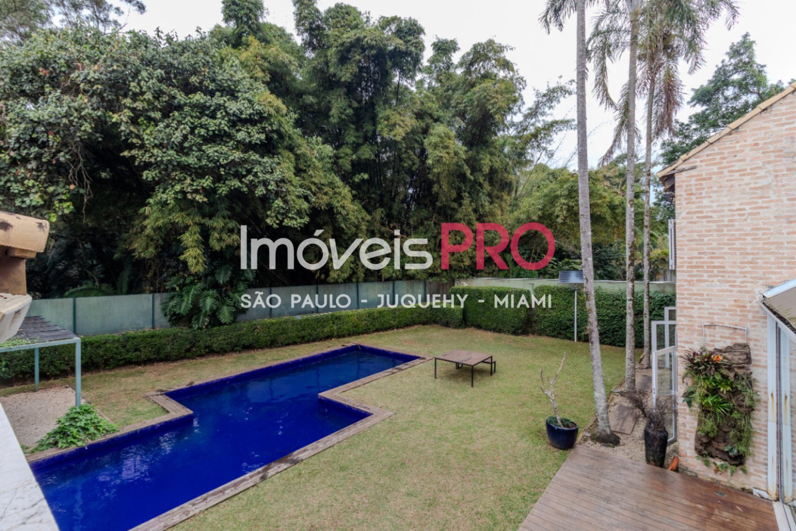 Foto :: IP40493